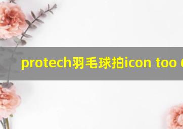 protech羽毛球拍icon too 600